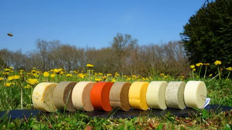 Le pré en bulles