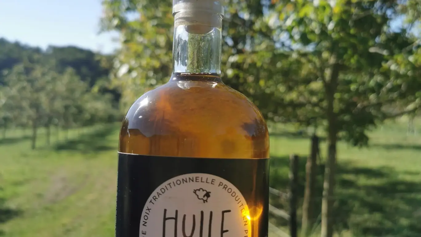 Les Moutons de Fernand (1)