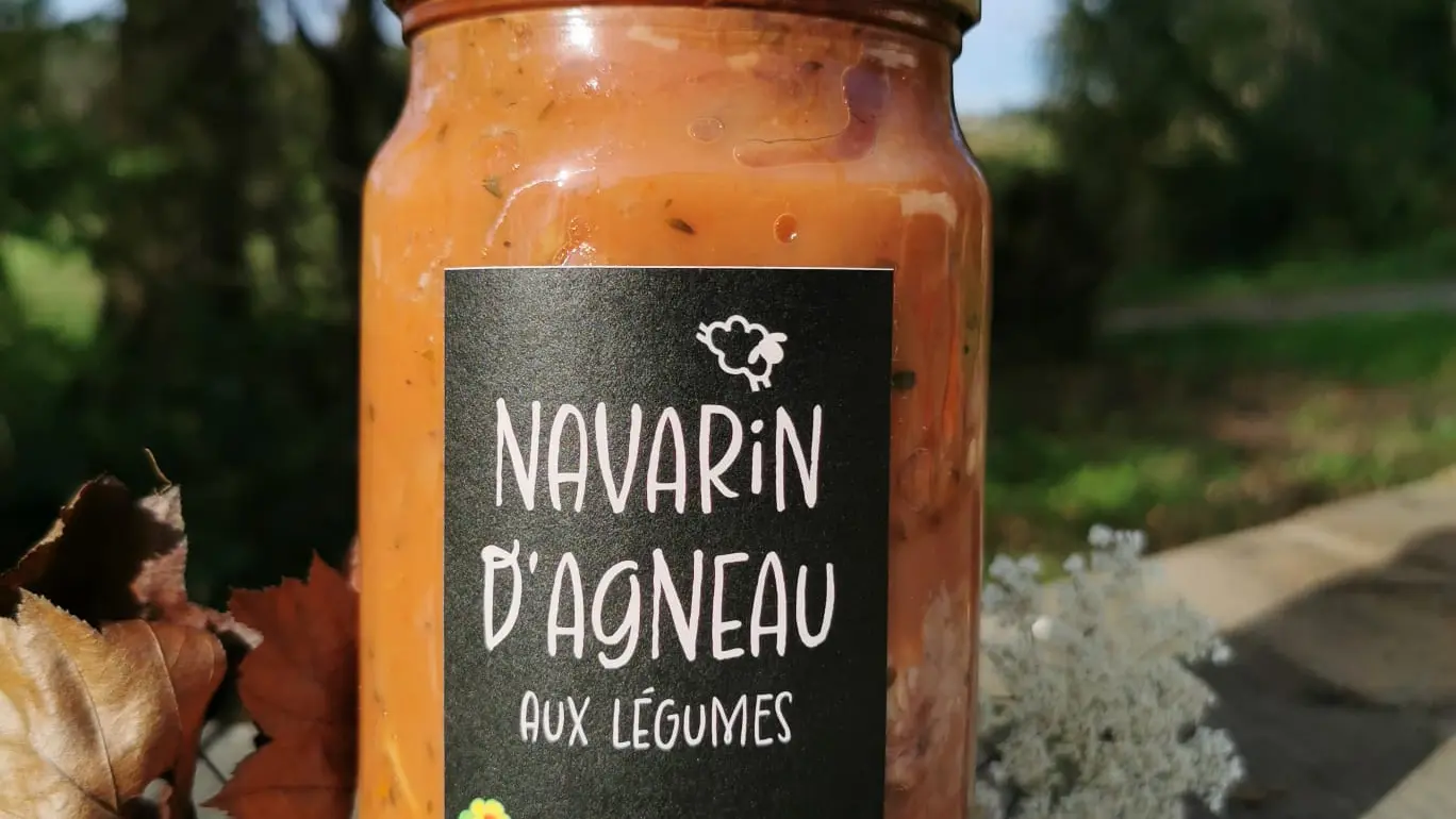 Les Moutons de Fernand (3)