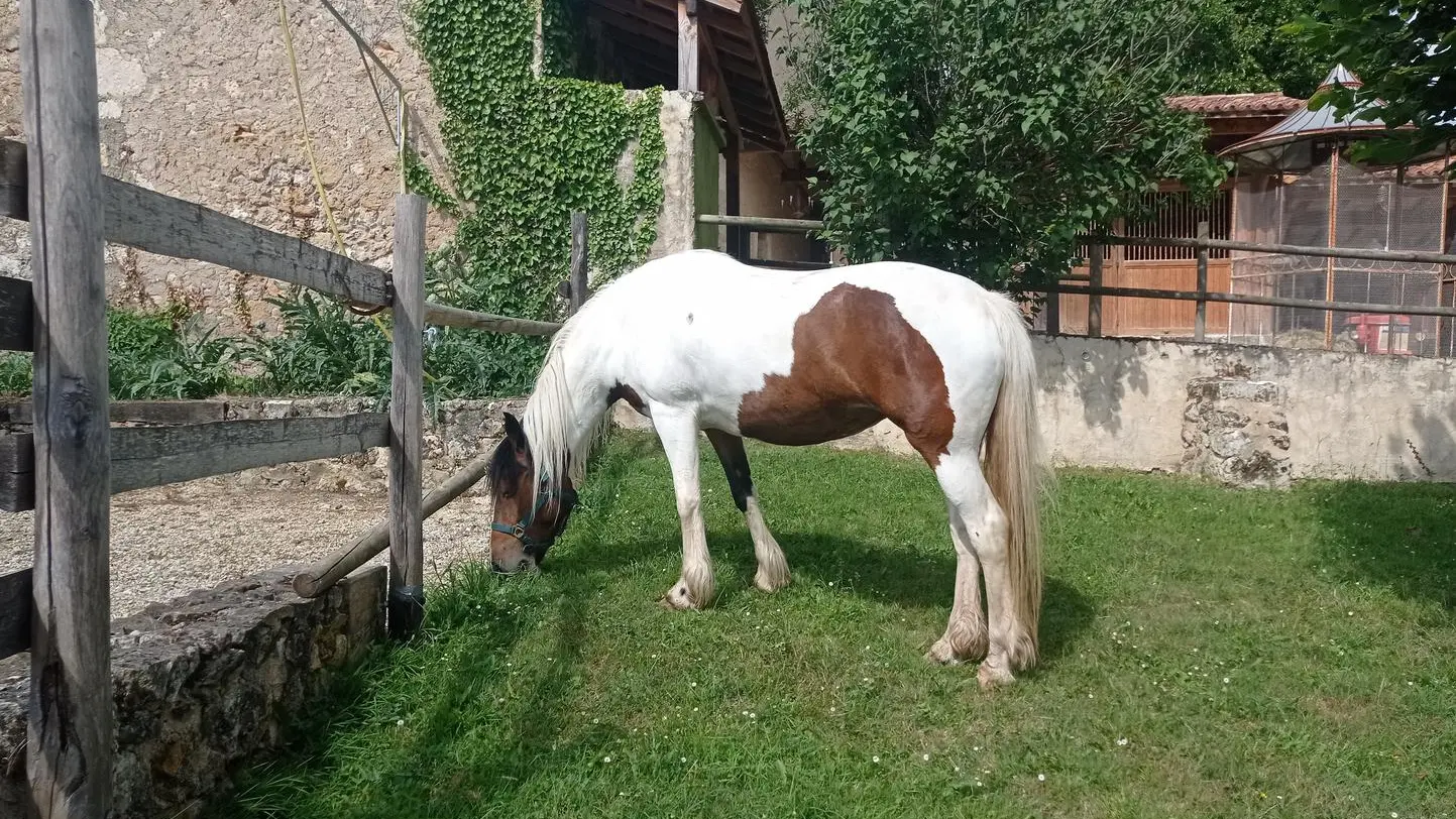 Logis-St-Martin-MONTAGNAC-LA-CREMPSE
