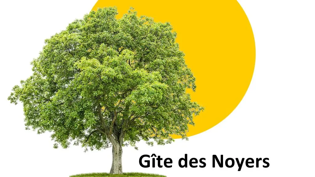 Logo Officiel - Gite des Noyers