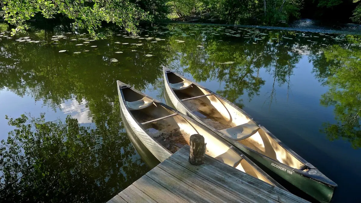 MOULUN - Saint-Méard de Drône - La Maillerie (9)