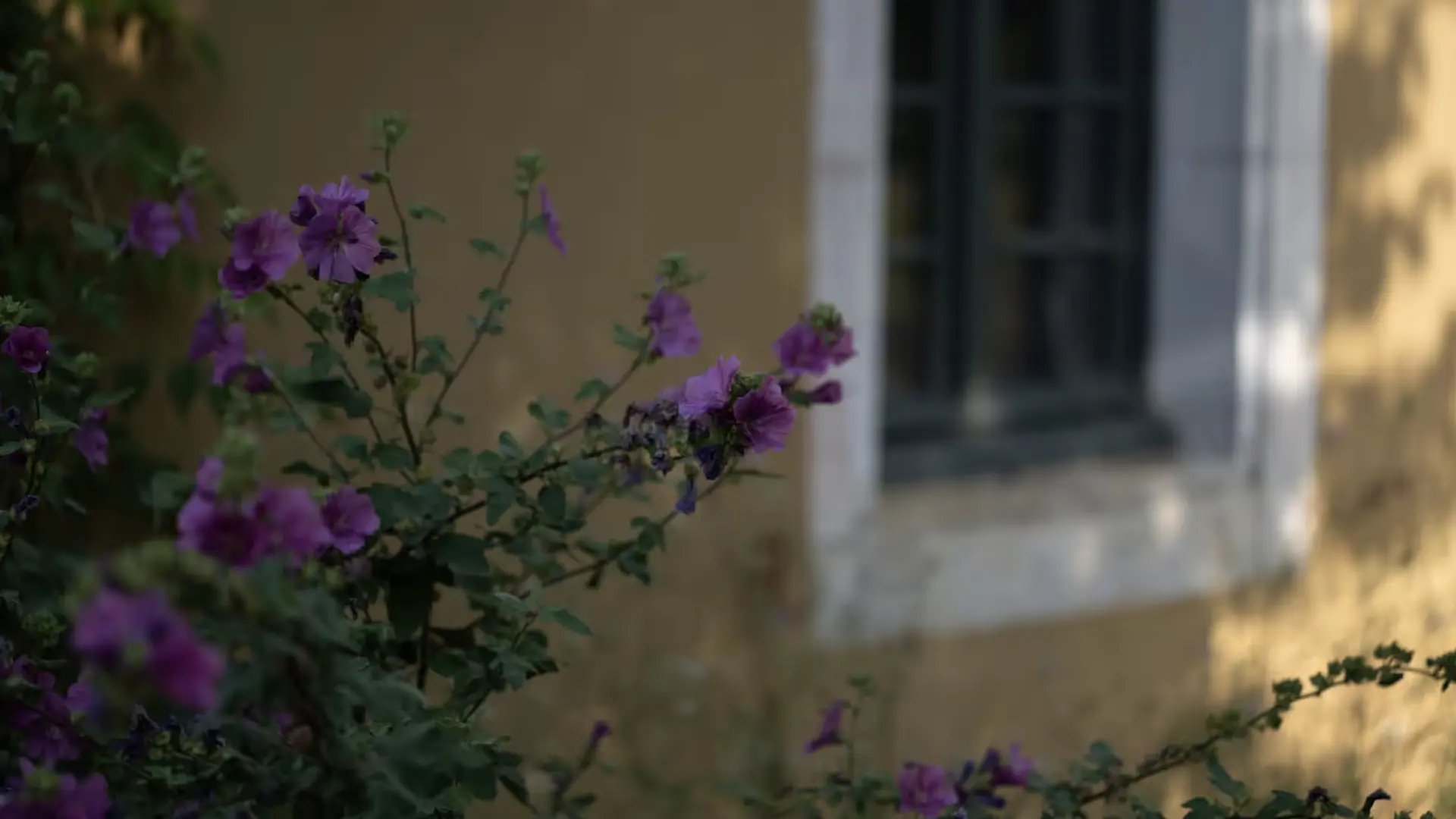 Maison Mirabelle Gamarde