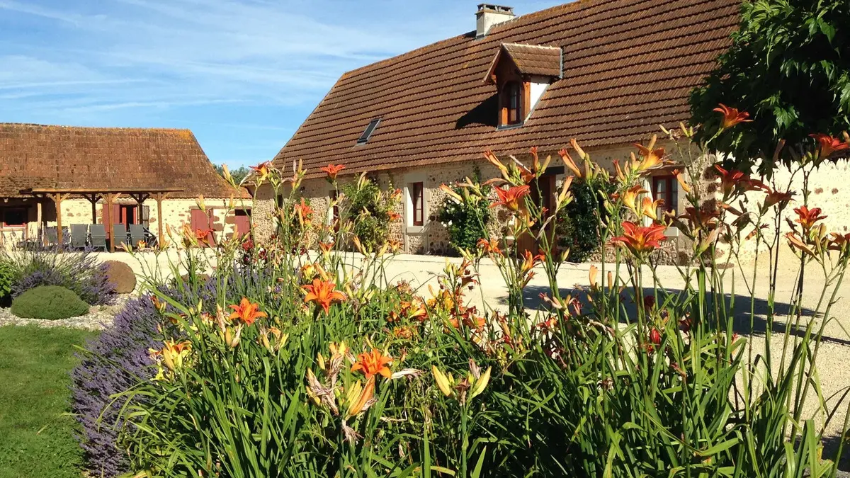 Mapellous pour brochure