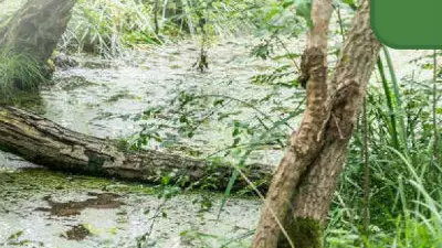 Marais Arcins Soussans pour Sirtaqui