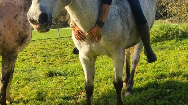 MesPetitssabots (12)