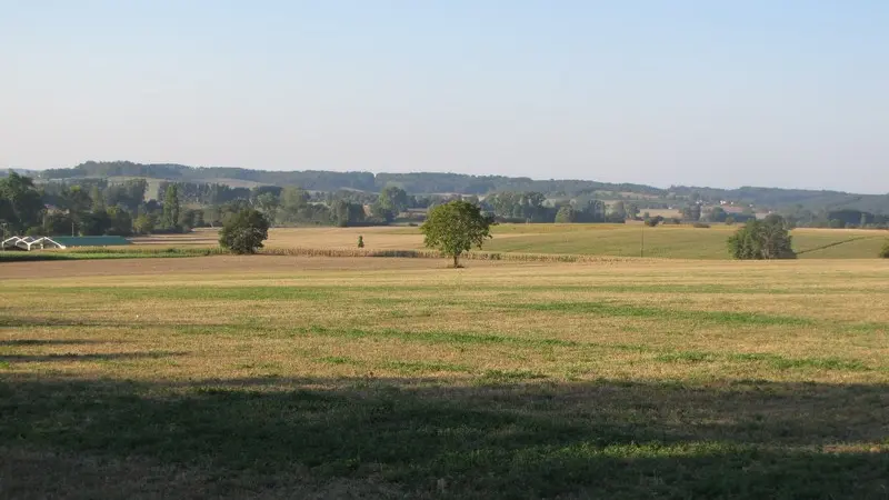 Mieux vaut privilégier les matinées fraîches pour prospecter