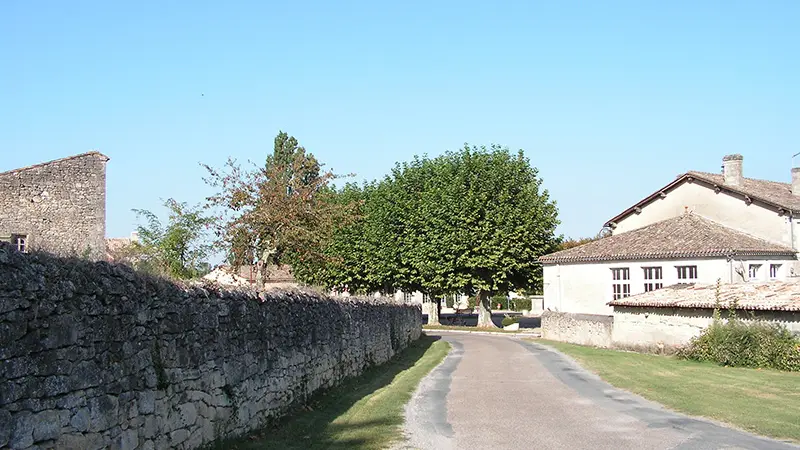 Montpeyroux (4)