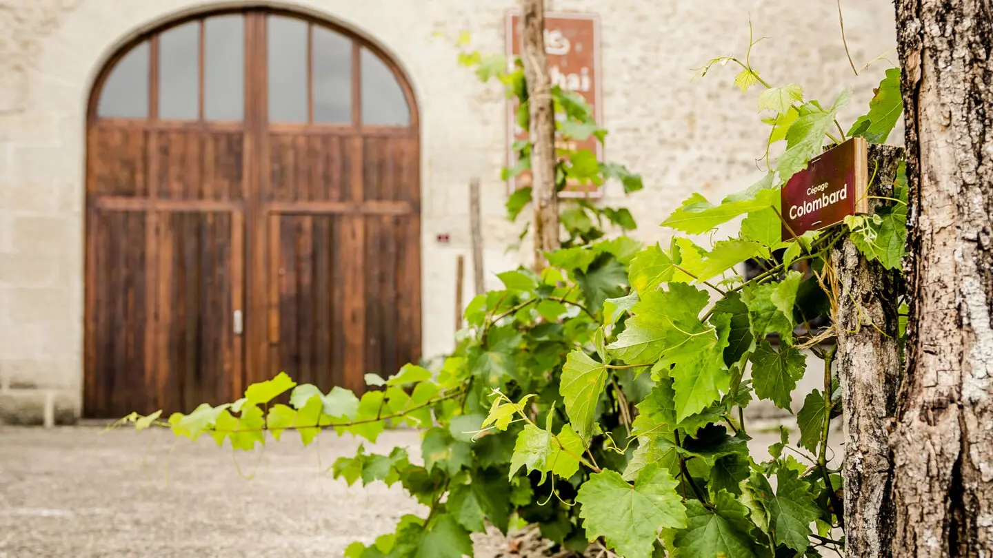 Musée du Cognac Saint Aulaye© eugenie_leong-camus (29) (1)