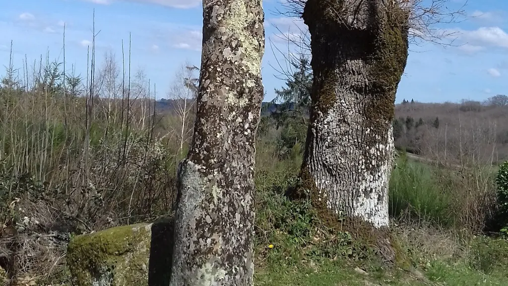 NANTIAT Menhir de la Croix Parot 1 (1)