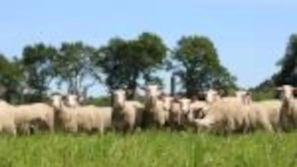 OTPT_EARLD'Ardilla_SaintYaguen_03
