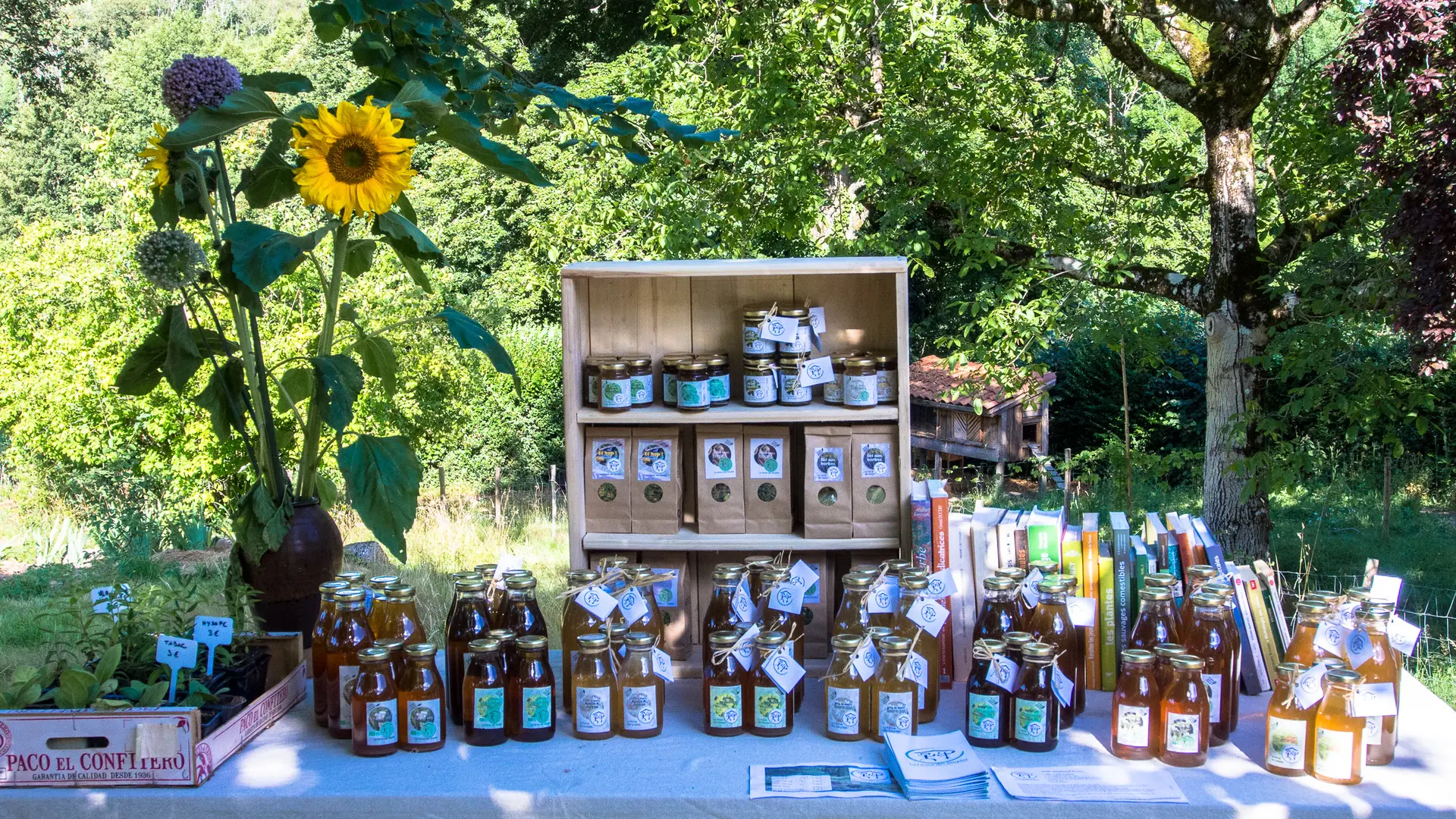 produits gourmands à base de plantes aromatiques