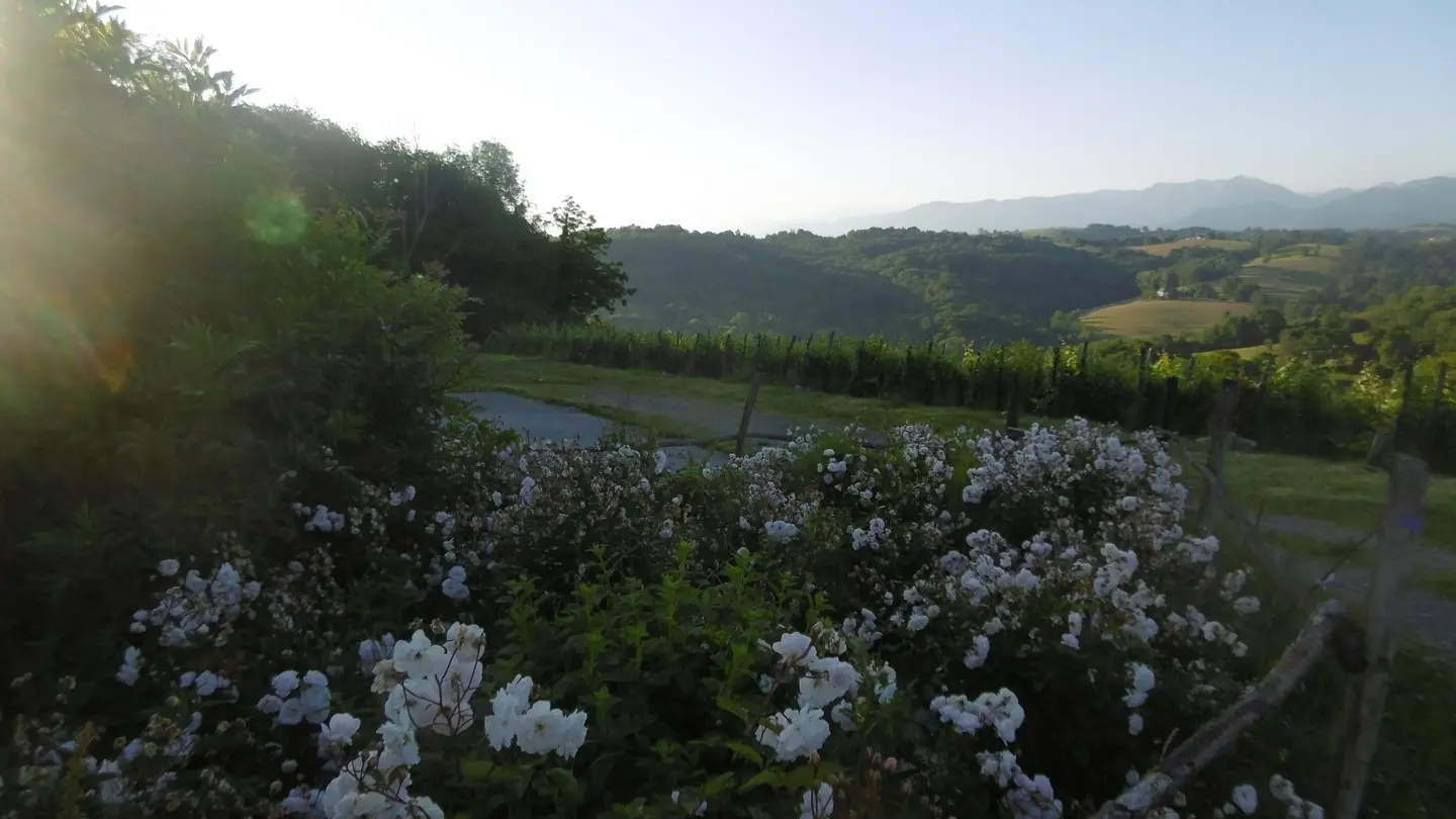 Domaine Latapy - Gan - fleurs