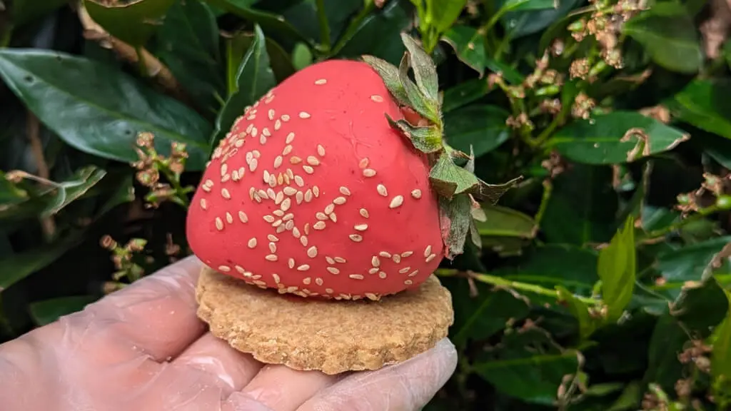 Papilles - Fraise