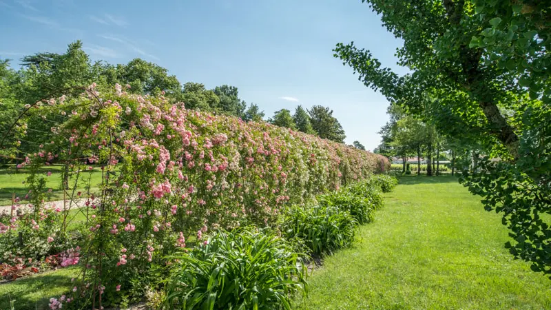 Parc-du-Château-Kirwan13