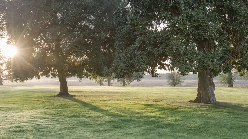 Parc-du-Château-d-Agassac3
