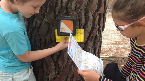 Parc de l'aventure 202419jpg
