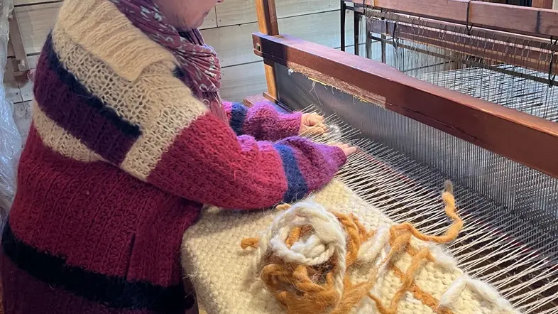 Pastoralisme-en-Double-machine-tapis-vallee-isle-perigord