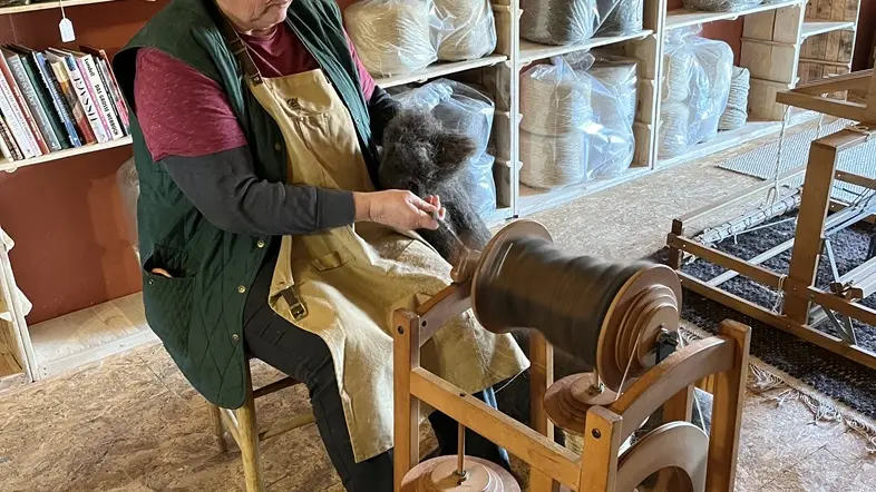 Pastoralisme-en-Double-filage-laine-vallee-isle-perigord