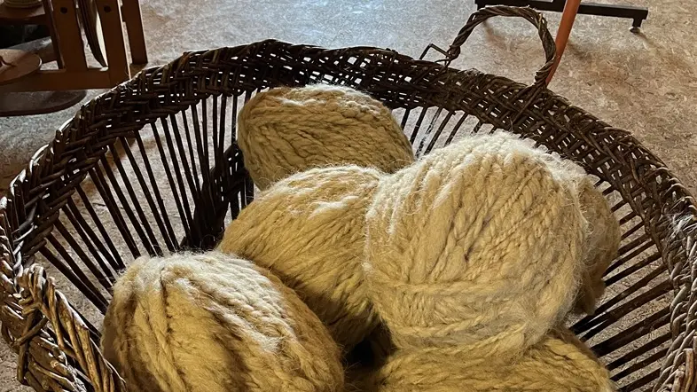 Pastoralisme-en-Double-paniere-laine-vallee-isle-perigord