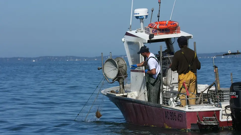 Pêche Pescatourisme