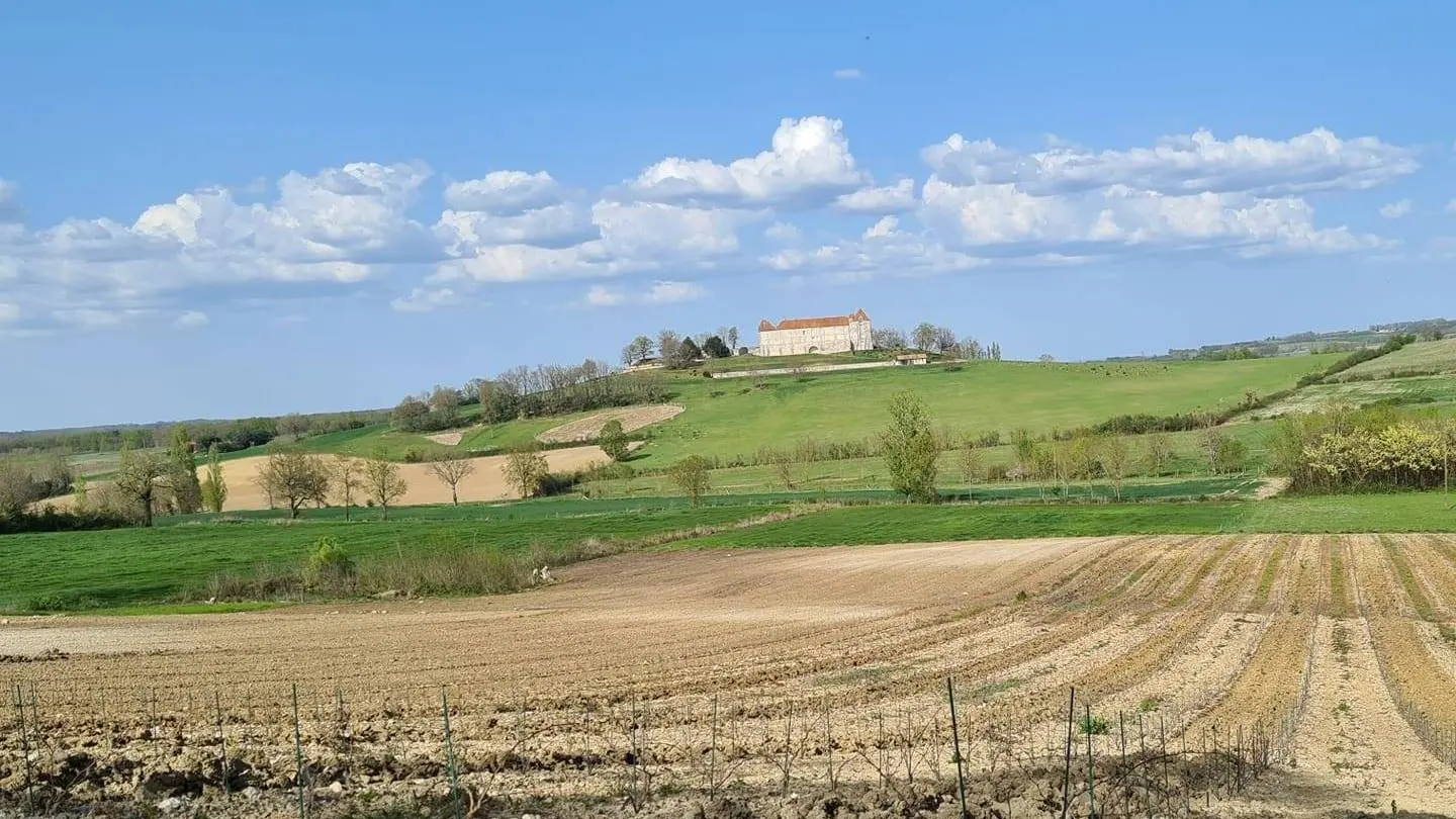 Petit Loubès Lagroye Loubès réduit (11)