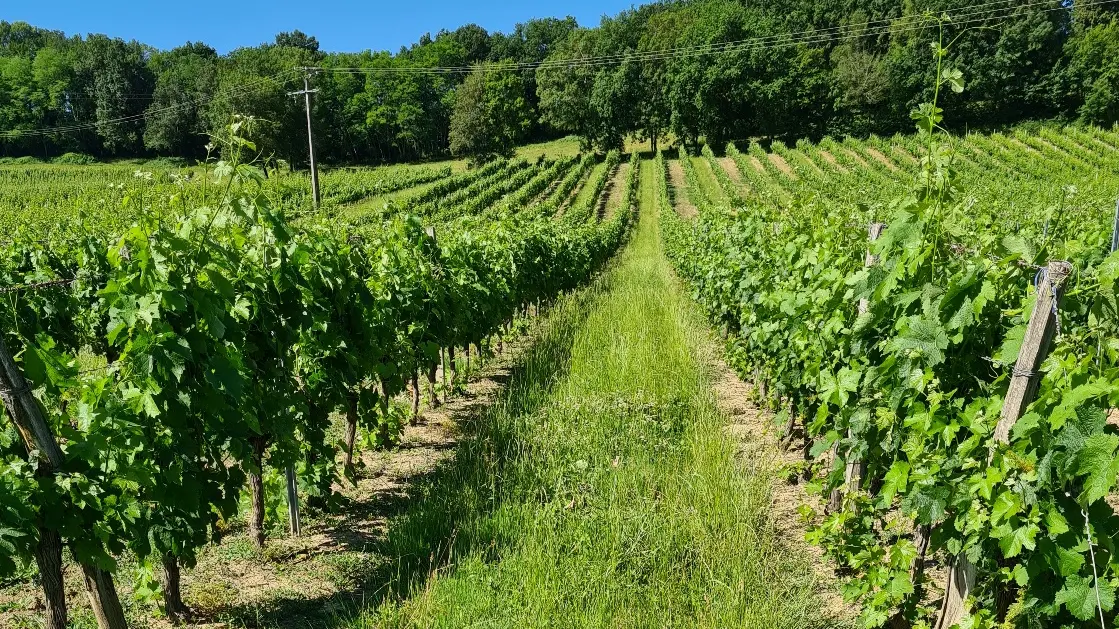 Petit Loubès Lagroye Loubès réduit
