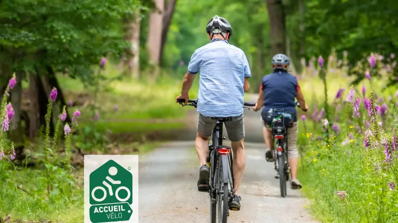 Photo pour Sirtaqui - 3