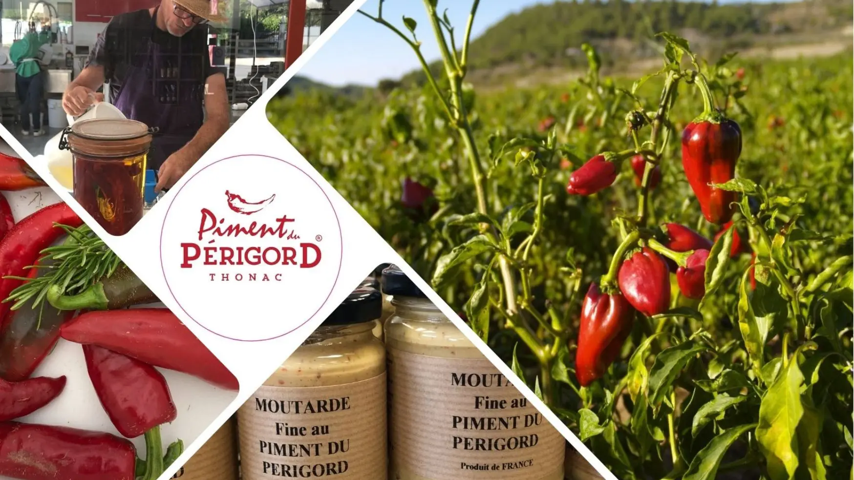 Blanc Bordé Photo Paysage Voyage Carte - 1