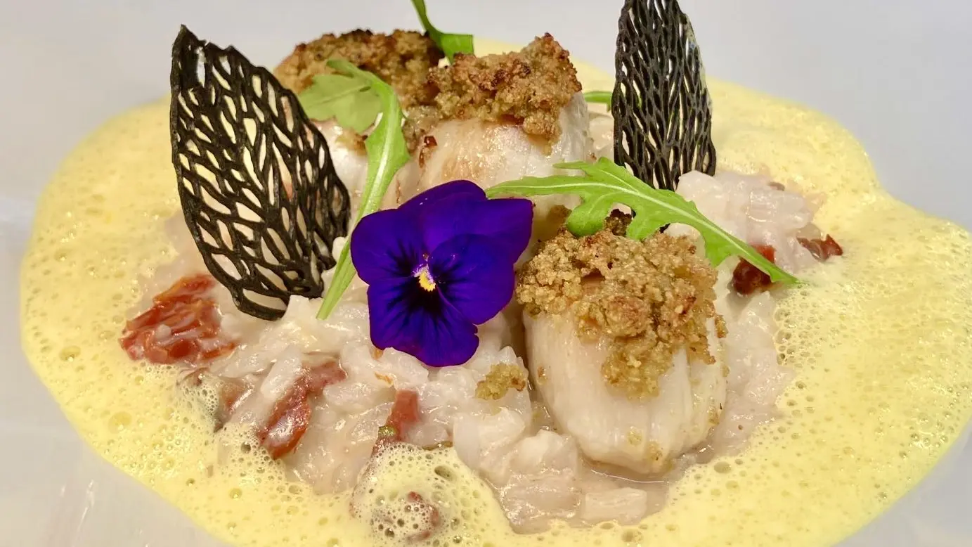 Pizza Nofa - Risotto aux Saint-Jacques