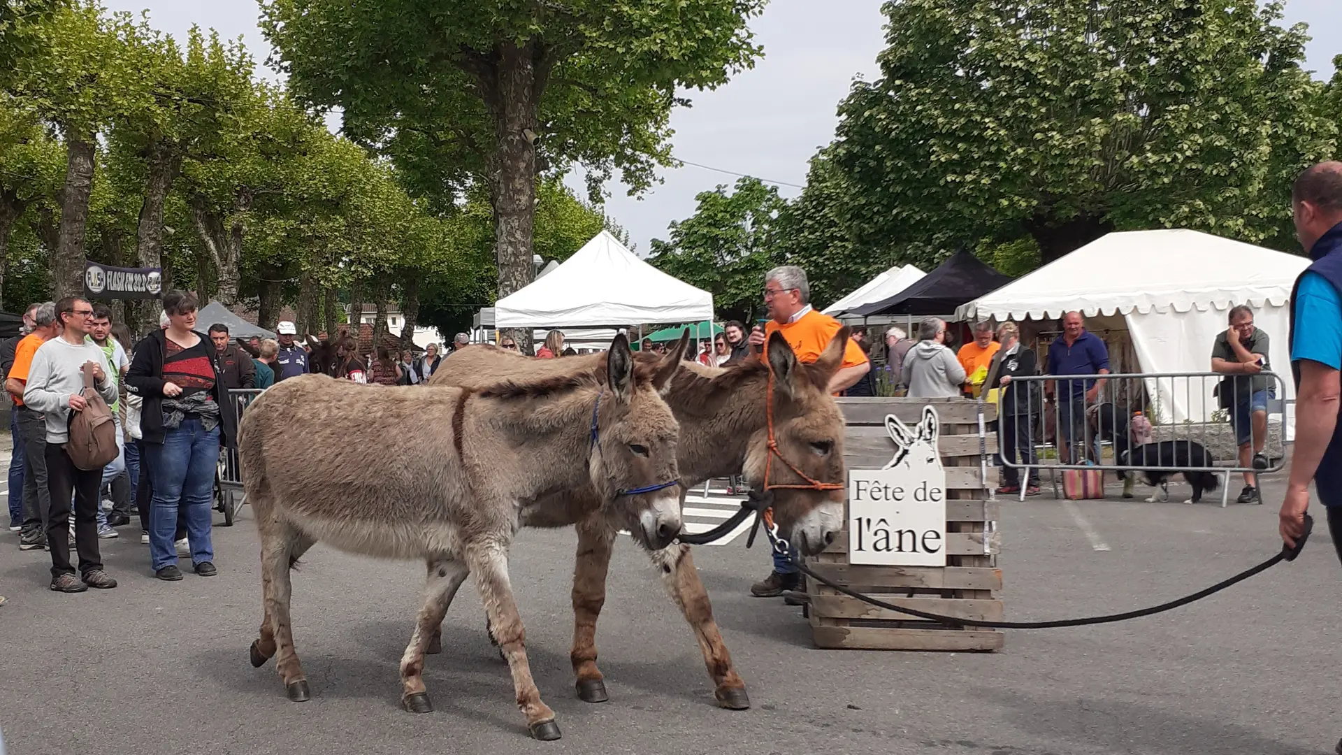 Présentation âsine