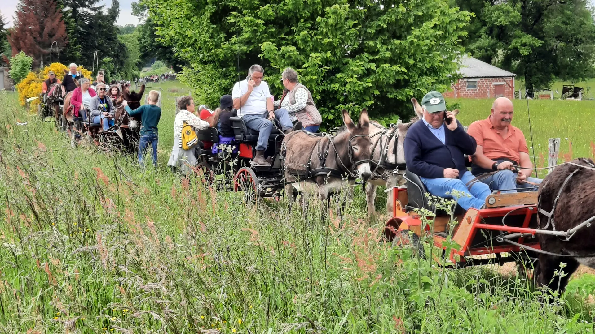Rando avec les ânes