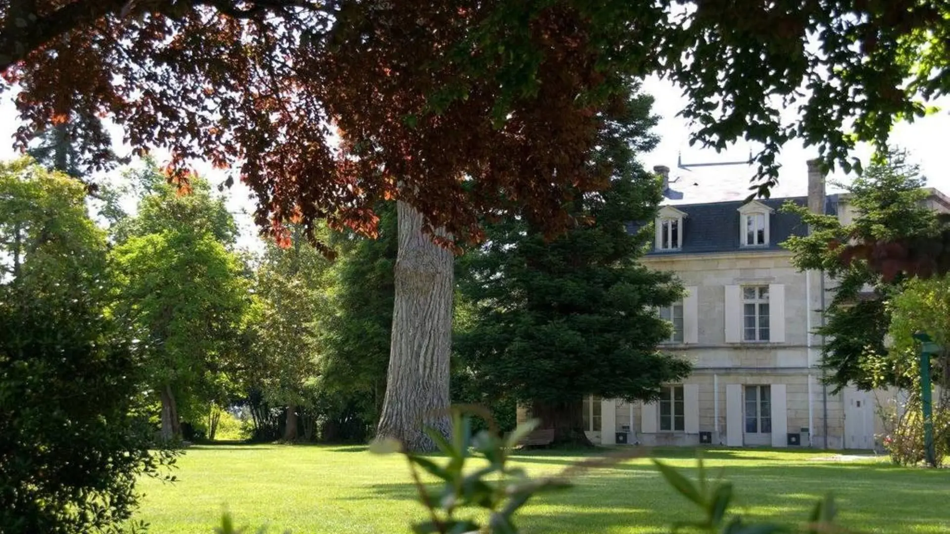 Relais de Margaux _le parc