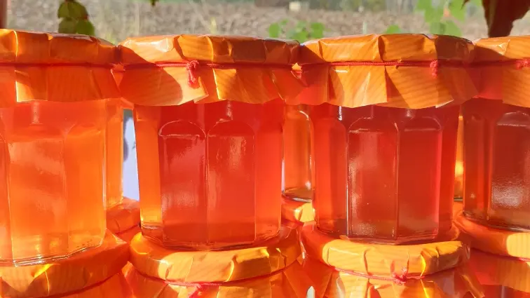 Resized_20211112_1521321