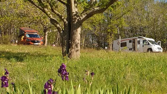 Resized_20240420_092100_resized1