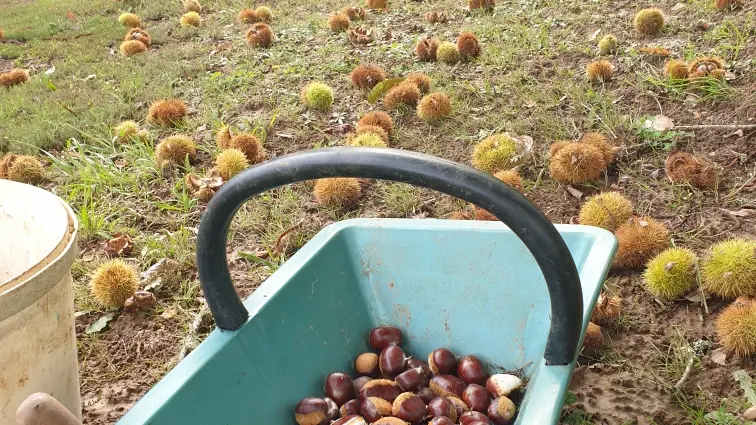 Resized_20241006_1435521