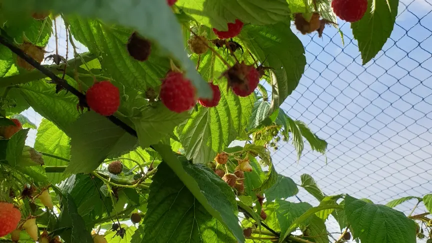 Resized_IMG_20210911_145539_0081