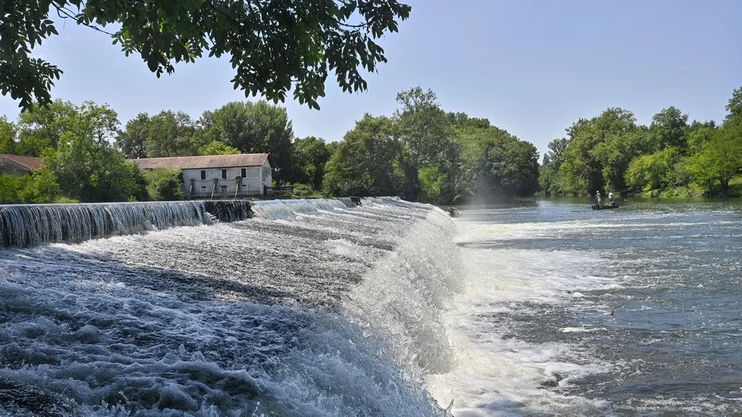 Riviere-Ménestérol-D. Nidos-a-vallee-isle-perigord