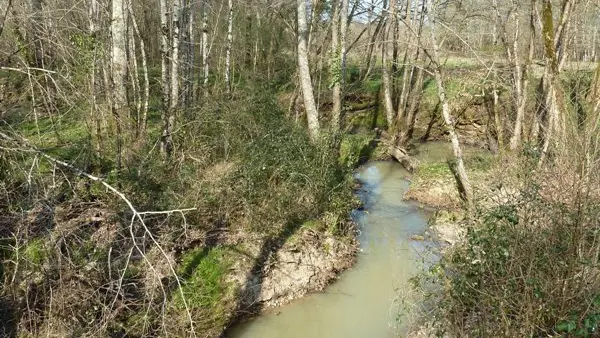 Le ruisseau Le Courbarieu