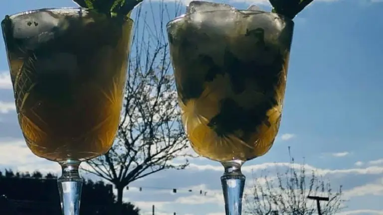 Salle-Le-Guinot-apéritif-verres
