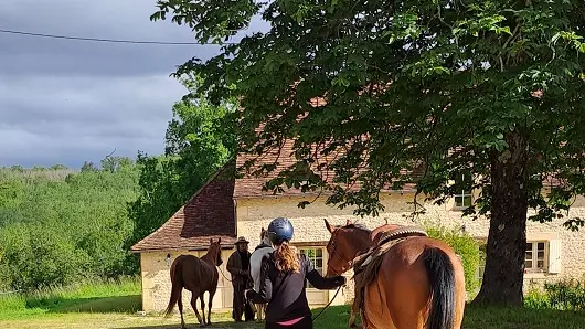 Savignac de Miremont_Terre de Jade_Photo 11 cavalier Terre de Jade_octobre 2024©Muriel Godfroid