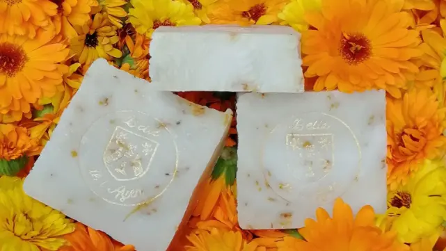 Savonnerie-belle-de-l'ayen-Carsac-savon-calendula-vallee-isle-perigord