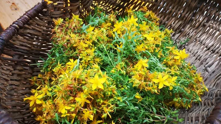 Savonnerie des Granges 3