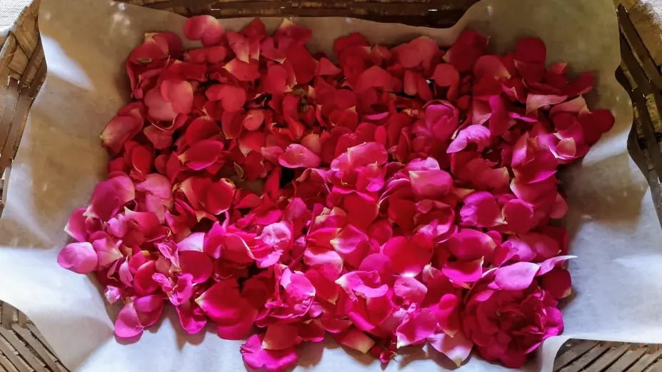 Savonnerie des Granges 4