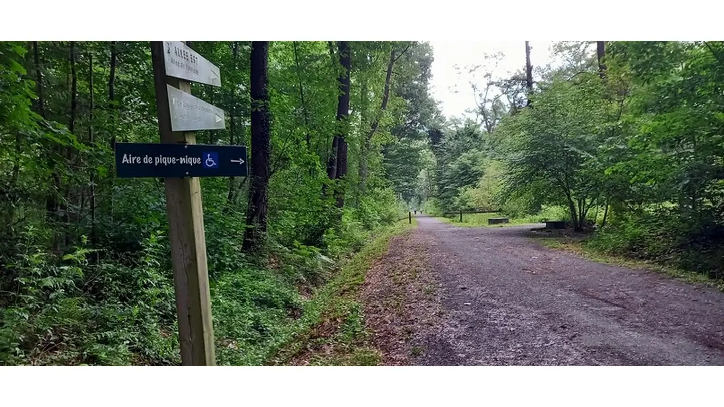 Sentier tourisme & handicap du Bois de Pau 3