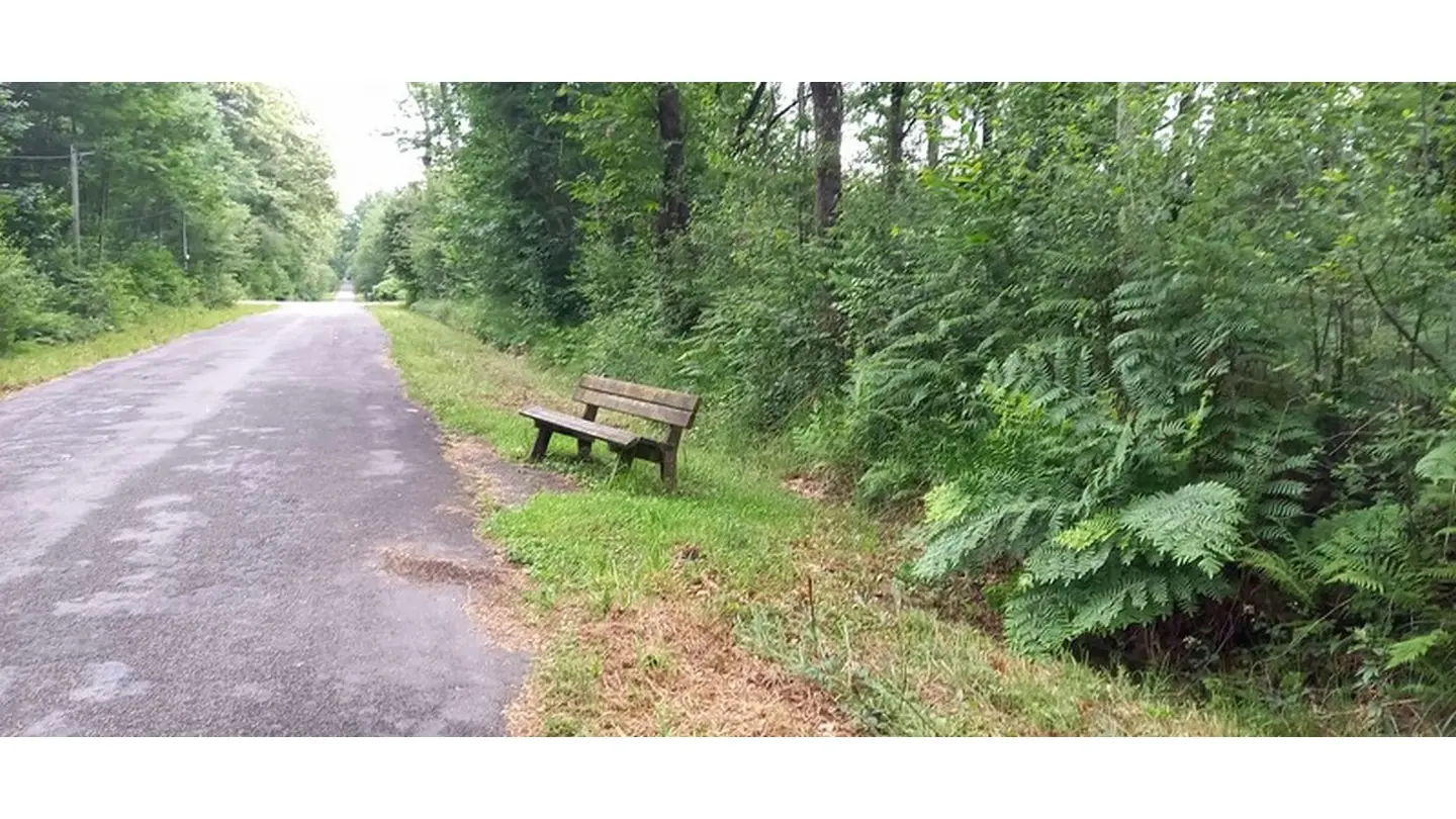 Sentier tourisme & handicap du Bois de Pau 5