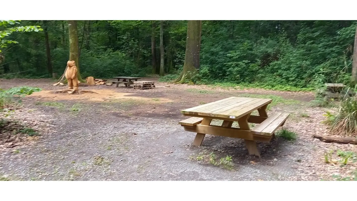 Sentier tourisme & handicap du Bois de Pau 4