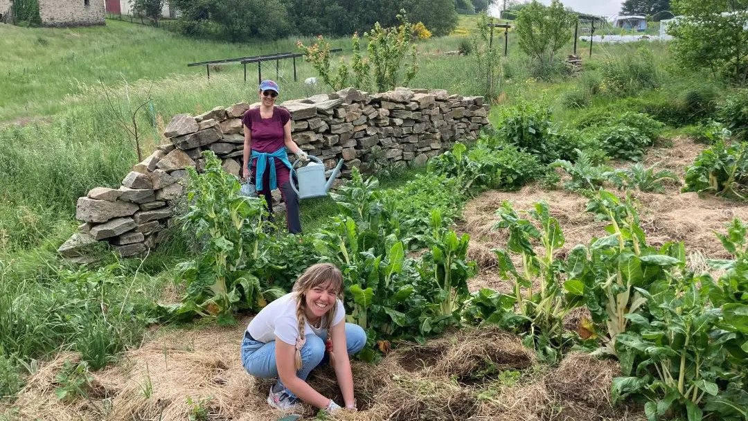 Stage permaculture