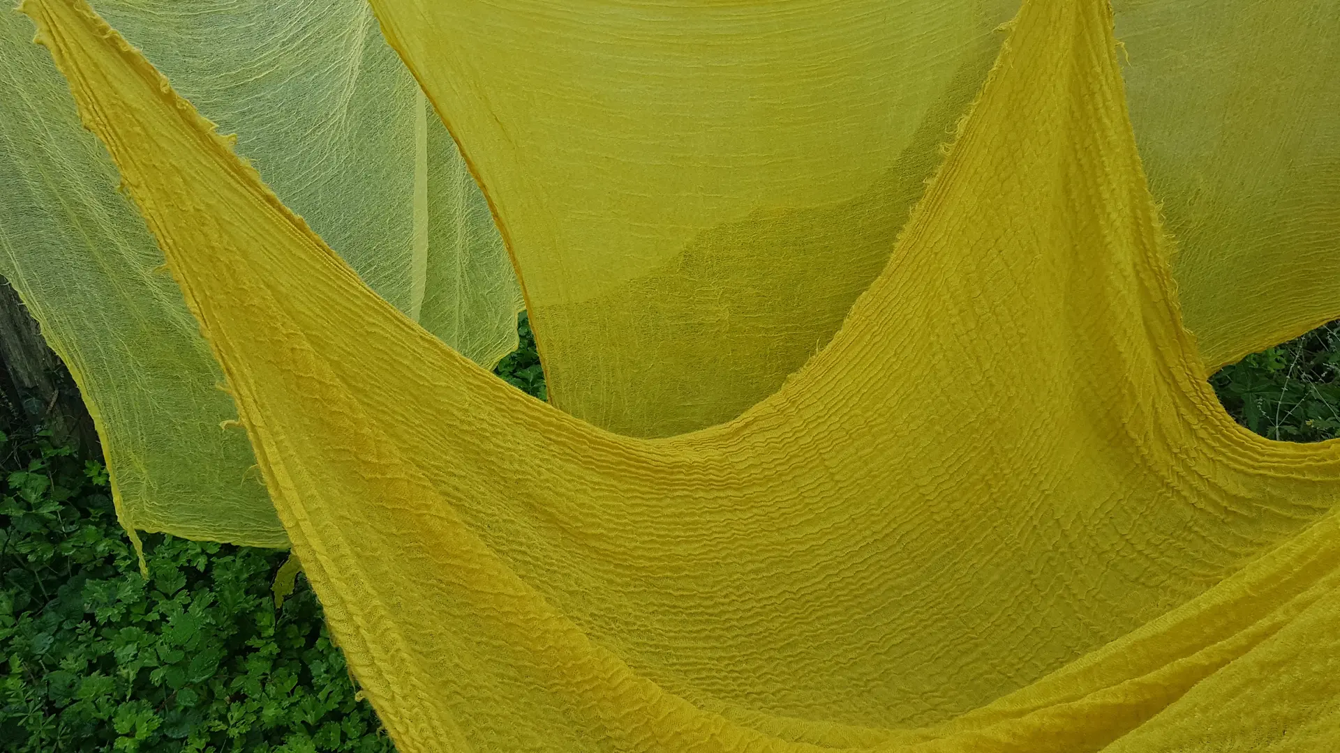 Teintures végétales sur textiles copie