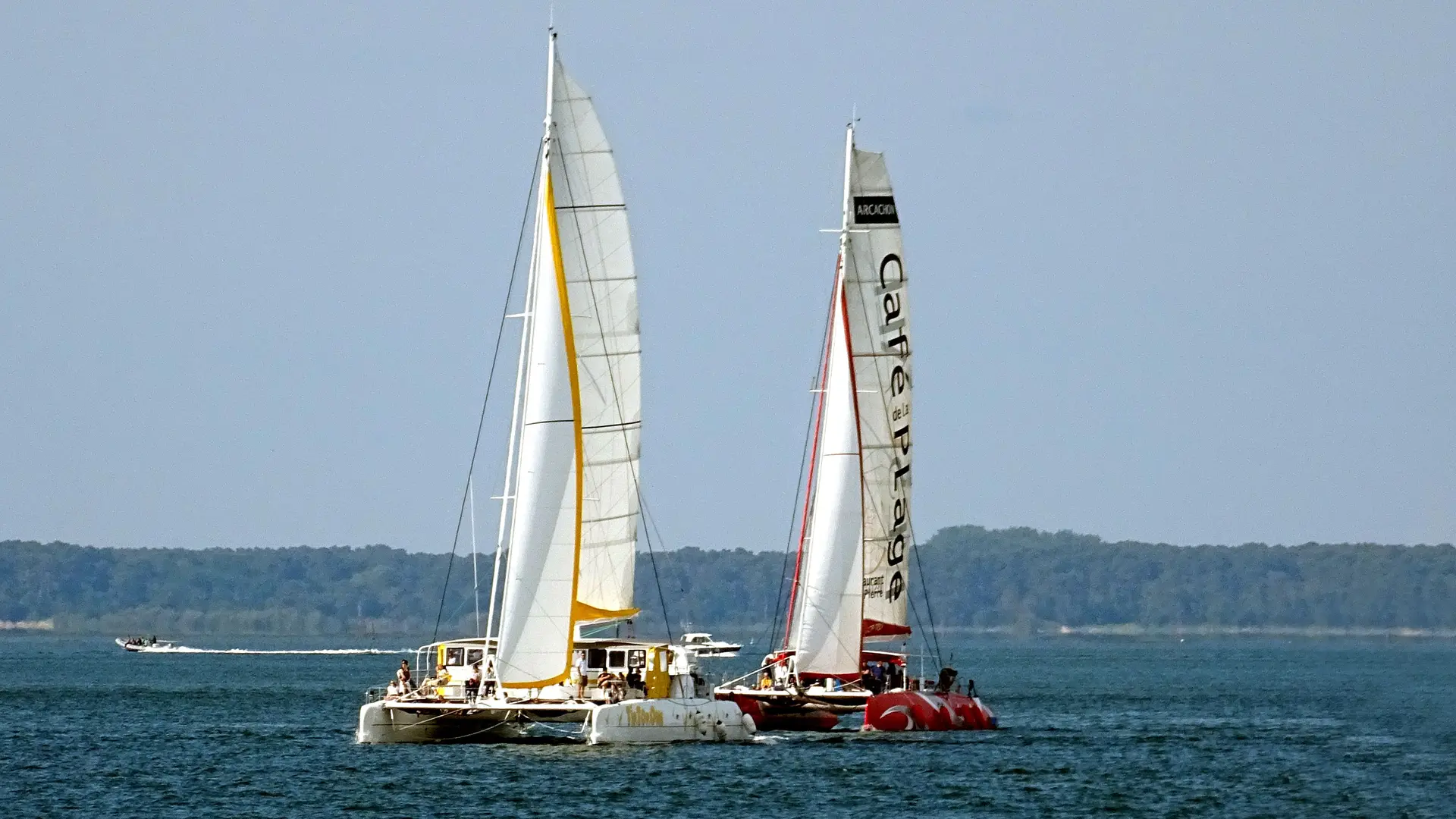 Les 2 catamarans géants à voile : Tip Top One et Tip Top Too